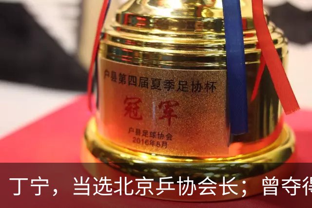 丁宁，当选北京乒协会长；曾夺得21个世界冠军头衔，是乒乓球“大满贯”得主