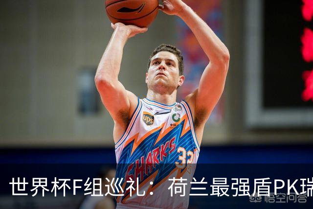 世界杯F组巡礼：荷兰最强盾PK瑞典犀利刀 日本短板明显