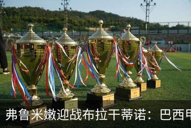弗鲁米嫩迎战布拉干蒂诺：巴西甲重启，胡尔克首秀在即