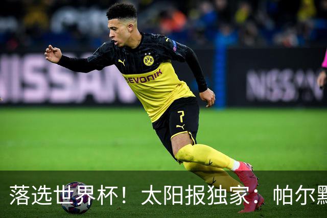 落选世界杯！太阳报独家：帕尔默周三与朋友畅饮狂欢，被美女围绕